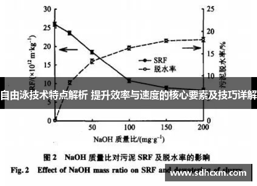 自由泳技术特点解析 提升效率与速度的核心要素及技巧详解